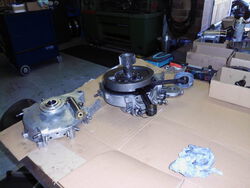 DSCI4764.JPG