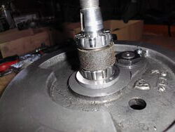 DSCI4758.JPG