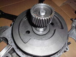 DSCI4763.JPG