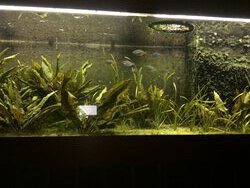 IMG_0807.JPG