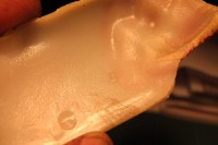 DSCF2133.jpg
